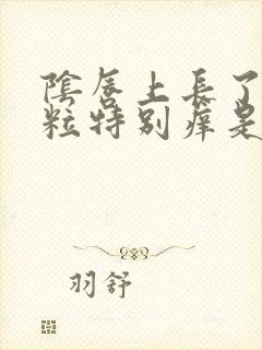 阴唇上长了小颗粒特别痒是什么原因