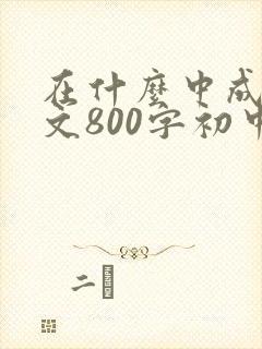 在什么中成长作文800字初中作文