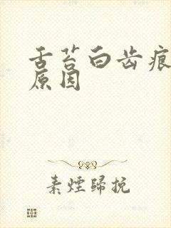 舌苔白齿痕怎么原因