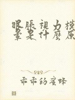 眼胀视力模糊头晕是什么原因