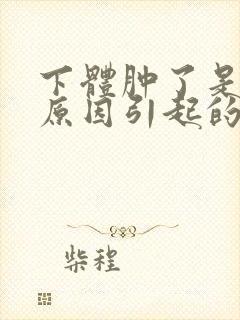 下体肿了是什么原因引起的男