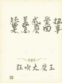 膝盖感觉扭的疼是怎么回事