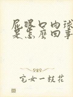 屁眼口肉球突出是怎么回事