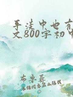 平淡中也有诗作文800字初中