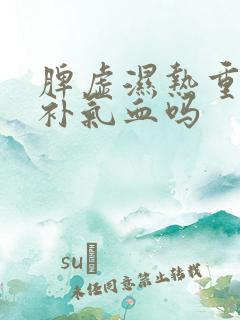 脾虚湿热重可以补气血吗