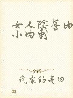 女人阴唇内侧有小肉刺