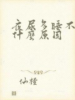 夜尿多睡不好是什么原因