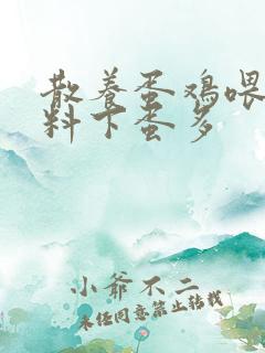 散养蛋鸡喂什么料下蛋多