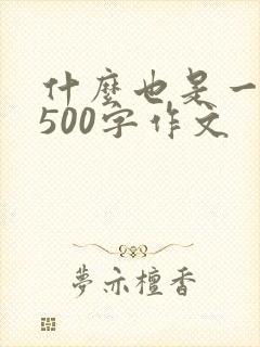 什么也是一种美500字作文