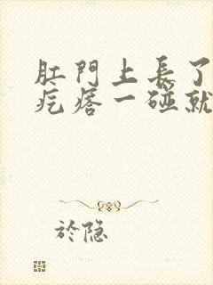 肛门上长了个硬疙瘩一碰就疼