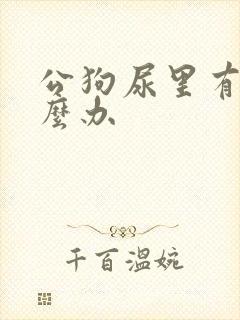 公狗尿里有血怎么办