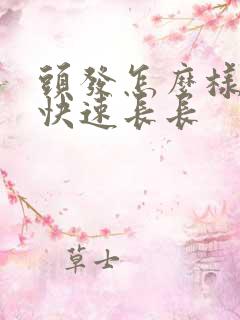 头发怎么样才能快速长长