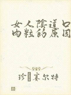 女人阴道口长小肉粒的原因