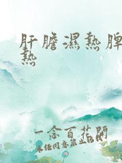 肝胆湿热脾胃湿热