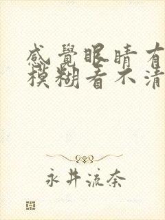 感觉眼睛有东西模糊看不清楚怎么回事