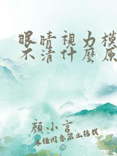 眼睛视力模糊看不清什么原因