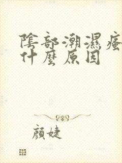 阴部潮湿瘙痒是什么原因