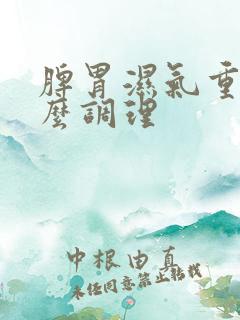 脾胃湿气重该怎么调理