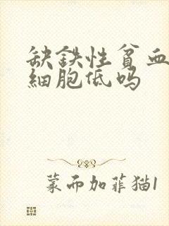 缺铁性贫血会白细胞低吗