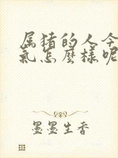 属猪的人今年运气怎么样呢