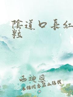 阴道口长红色颗粒