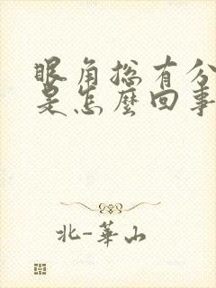 眼角总有分泌物是怎么回事