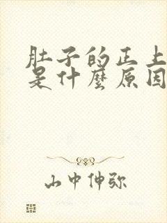 肚子的正上方疼是什么原因