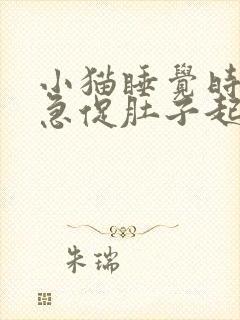 小猫睡觉时呼吸急促肚子起伏