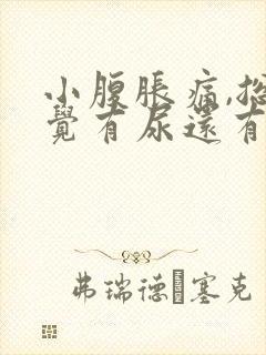 小腹胀痛,总感觉有尿还有血