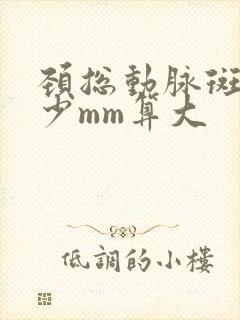 颈总动脉斑块多少mm算大