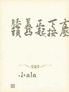 膝盖正下方一骨头凸起按压疼