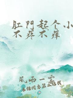 肛门起个小疙瘩不疼不痒