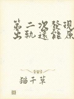 第二次发现老公出轨还能原谅吗