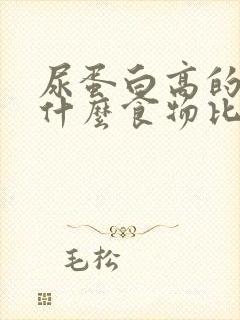 尿蛋白高的人吃什么食物比较好