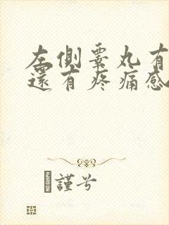 左侧睾丸有点肿还有疼痛感