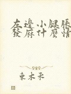 左边小腿胀痛脚发麻什么情况