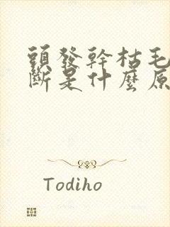 头发干枯毛躁易断是什么原因