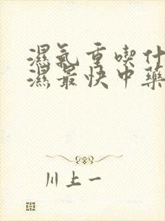 湿气重吃什么排湿最快中药