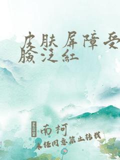 皮肤屏障受损全脸泛红