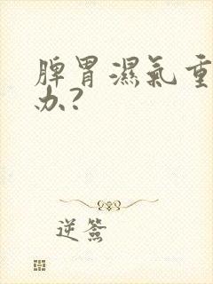 脾胃湿气重怎么办?