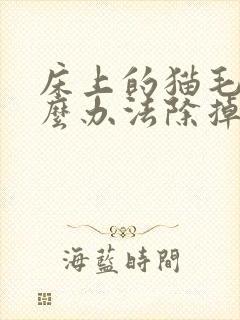 床上的猫毛有什么办法除掉