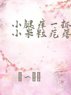 小腿痒一抓就起小米粒疙瘩