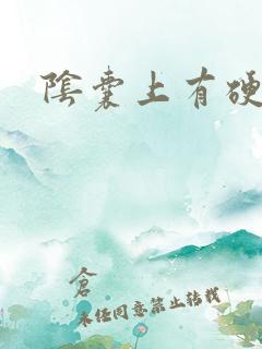 阴囊上有硬肉粒