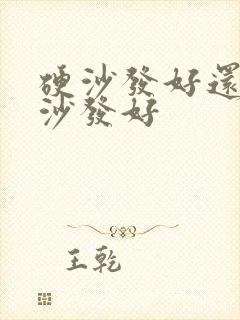 硬沙发好还是软沙发好