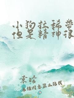 小狗拉稀带血的但是精神很好