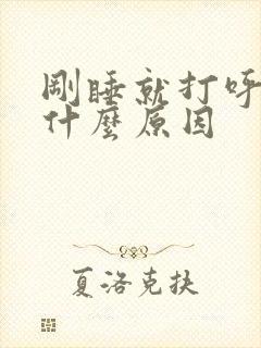 刚睡就打呼噜是什么原因