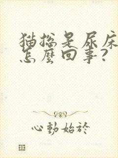 猫总是尿床上,怎么回事?