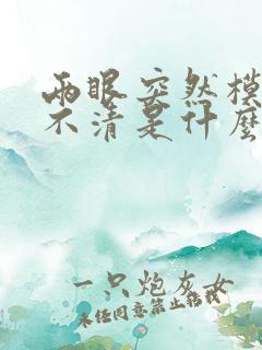 两眼突然模糊看不清是什么原因