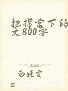 把握当下的议论文800字