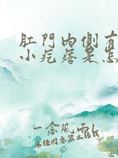 肛门内侧有一个小疙瘩是怎么回事